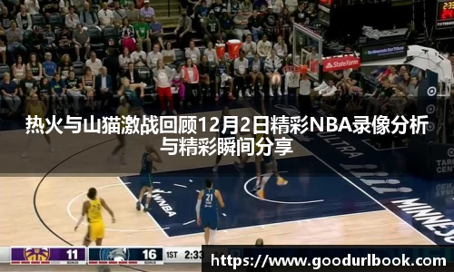 热火与山猫激战回顾12月2日精彩NBA录像分析与精彩瞬间分享